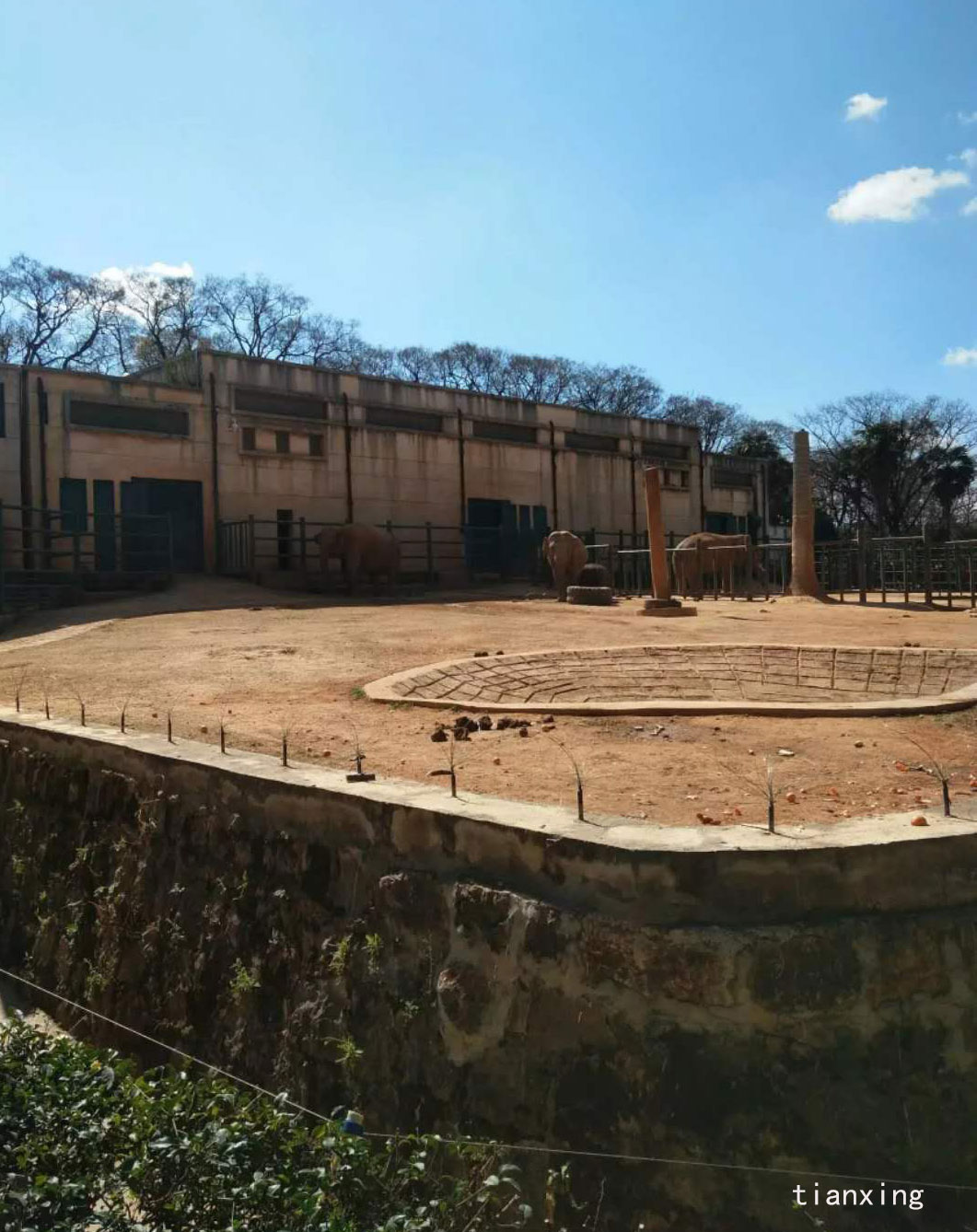 圓通山動(dòng)物 圓通山動(dòng)物