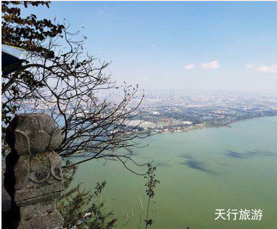 西山森林公園 西山森林公園