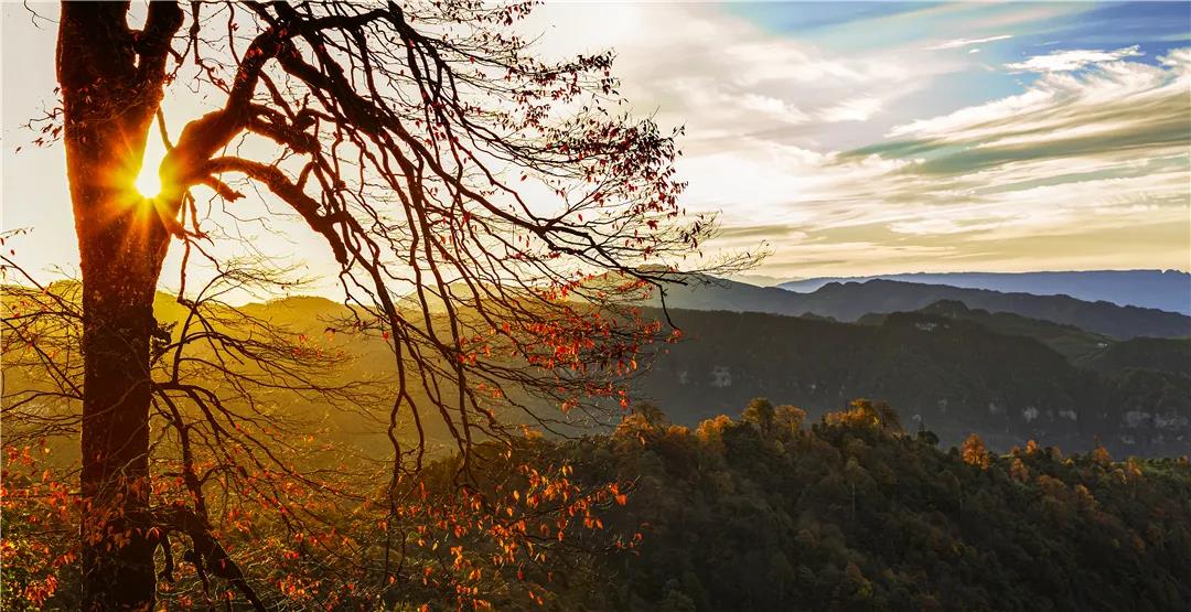 云南的秋天在哪里，它最先抵達了這里     昆明傳媒公司