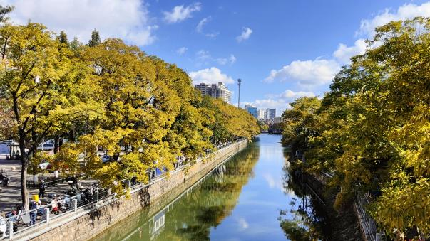 云南旅游,云南旅行社,云南團建公司,云南策劃公司,云南會議會展,昆明旅游,昆明旅行社,昆明團建公司,昆明策劃公司,昆明會議會展：全屏“封神”！這可是昆明初冬的超絕頂流！保姆級攻略來襲，趁天晴立馬沖！