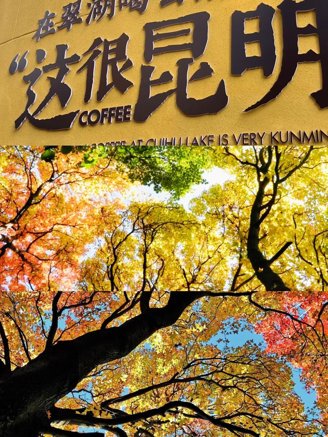 冬天旅游推薦！別再卷三亞了！昆明的冬天才是真寶藏 18℃的暖陽曬得人懶洋洋，滇池邊喂海鷗